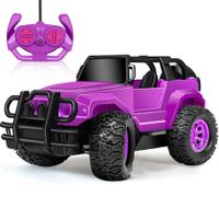 Remote Control Car, Remote Control Monster Truck, 2.4Ghz LED Light Off-Road RC Cars,Toy Cars Gift for Kids Boys Girls 6+ Years Old (Purple)