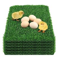 6Pcs Chicken Nesting Pads Artificial Grass Mat Chickens Nesting Box Pads Rug Carpet Synthetic Turf Mat Pet Training Grass for Egg Chicken Coop