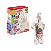 Transparent Half Body Human Organ Model DIY Assembly Toy Educational Science Kit for Primary & Secondary Students