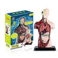 Simulated Half Body Anatomy Model DIY Assembly for Children Educational Toy for Primary Secondary Students Early Science Education