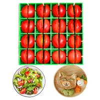 Grapes Cutter Slicer Half Or Quarter Cutting 16Pc,Cherry Tomatoes Cutter Tool Small Fruit Holder For Salad Kids Snacks