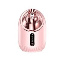 Facial Steamer - Nano Ionic Facial Steamer with Cold&Warm&Hot Mist,240ml Large Water Tank,Small Face Humidifier, Pink