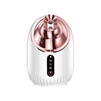 Facial Steamer - Nano Ionic Facial Steamer with Cold&Warm&Hot Mist,240ml Large Water Tank,Small Face Humidifier,White