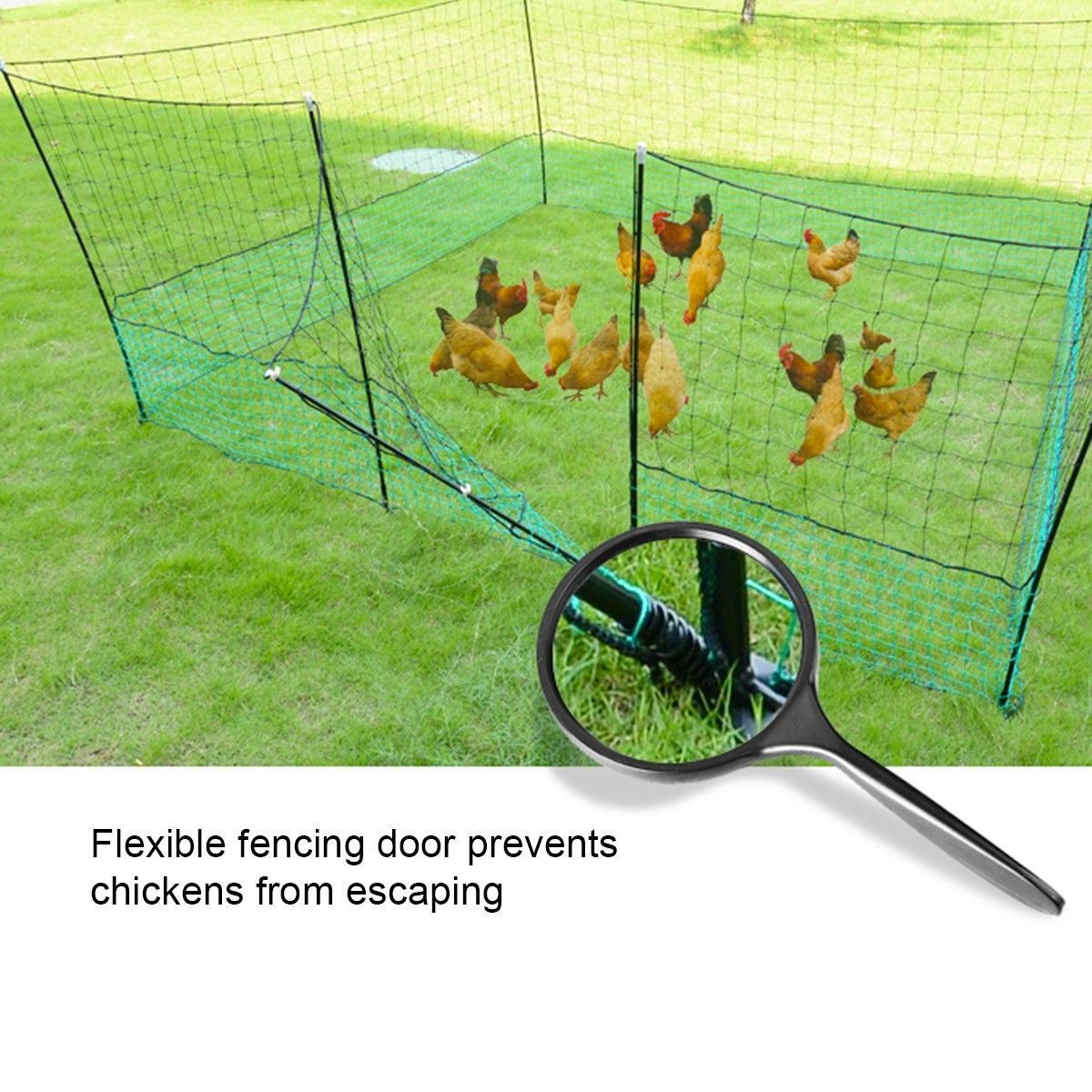 https://img.bestdeals.co.nz/products_pictures/208/20870_170234_F.jpg