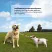 Dog Barking Control Bark Collar Anti Bark Rechargeable Puppy Training Collar