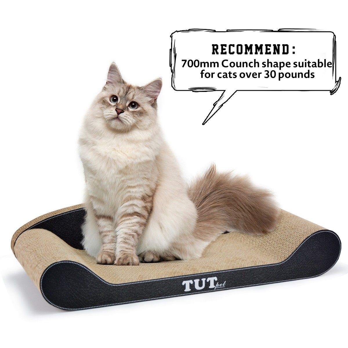 https://img.bestdeals.co.nz/products_pictures/210/21019_172059_F.jpg