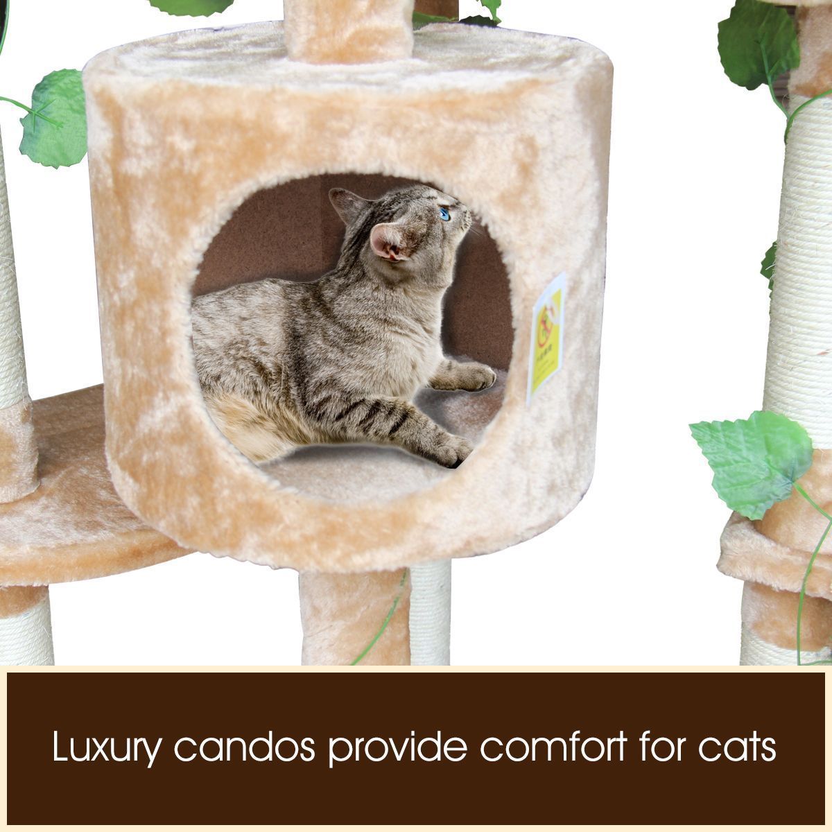 https://img.bestdeals.co.nz/products_pictures/210/21042_172234_F.jpg
