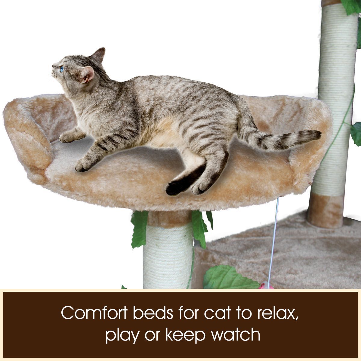 https://img.bestdeals.co.nz/products_pictures/210/21042_172235_F.jpg