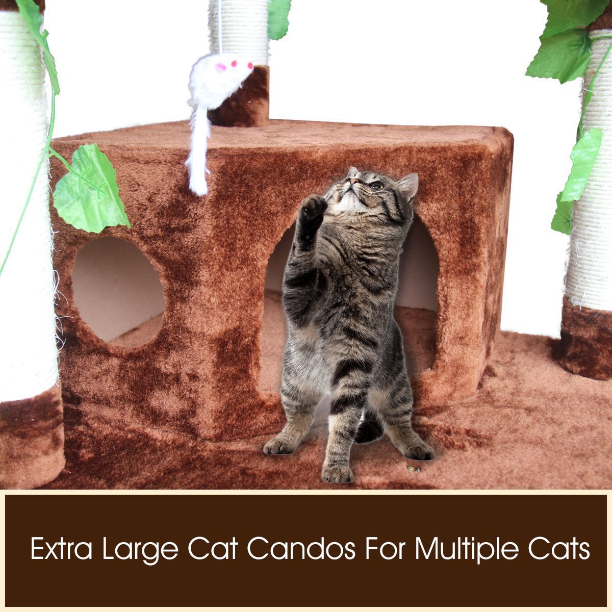 https://img.bestdeals.co.nz/products_pictures/210/21043_172238_F.jpg