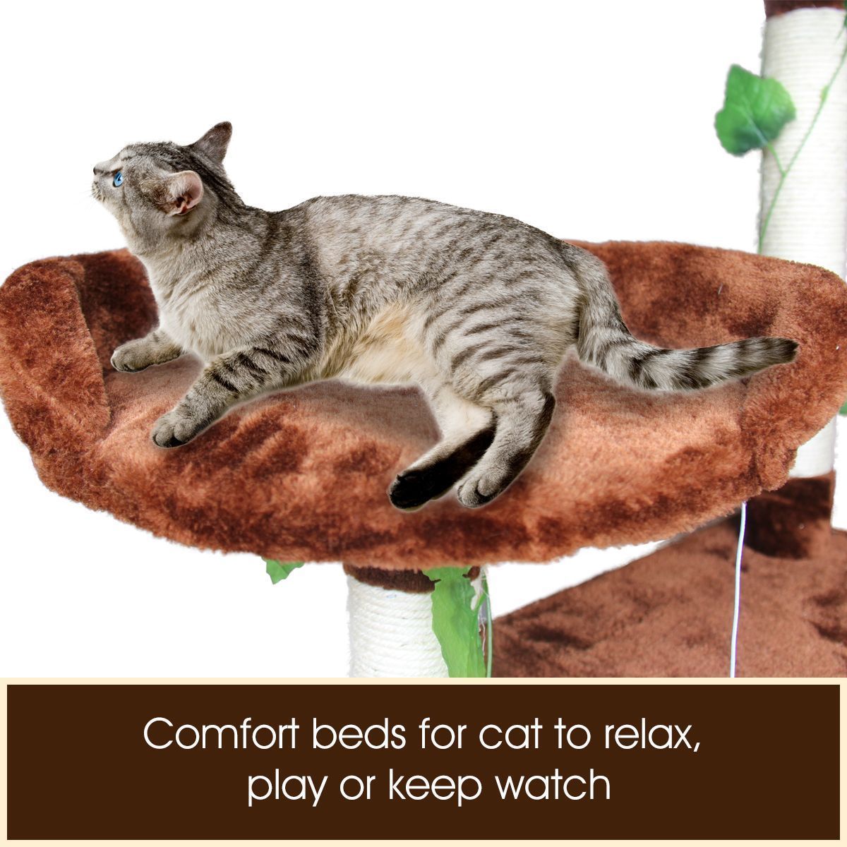 https://img.bestdeals.co.nz/products_pictures/210/21043_172239_F.jpg
