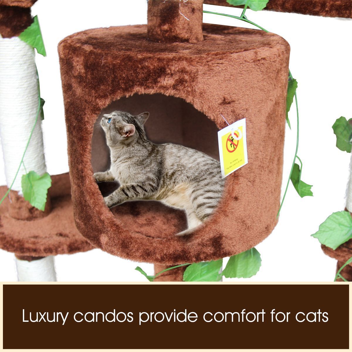 https://img.bestdeals.co.nz/products_pictures/210/21043_172240_F.jpg