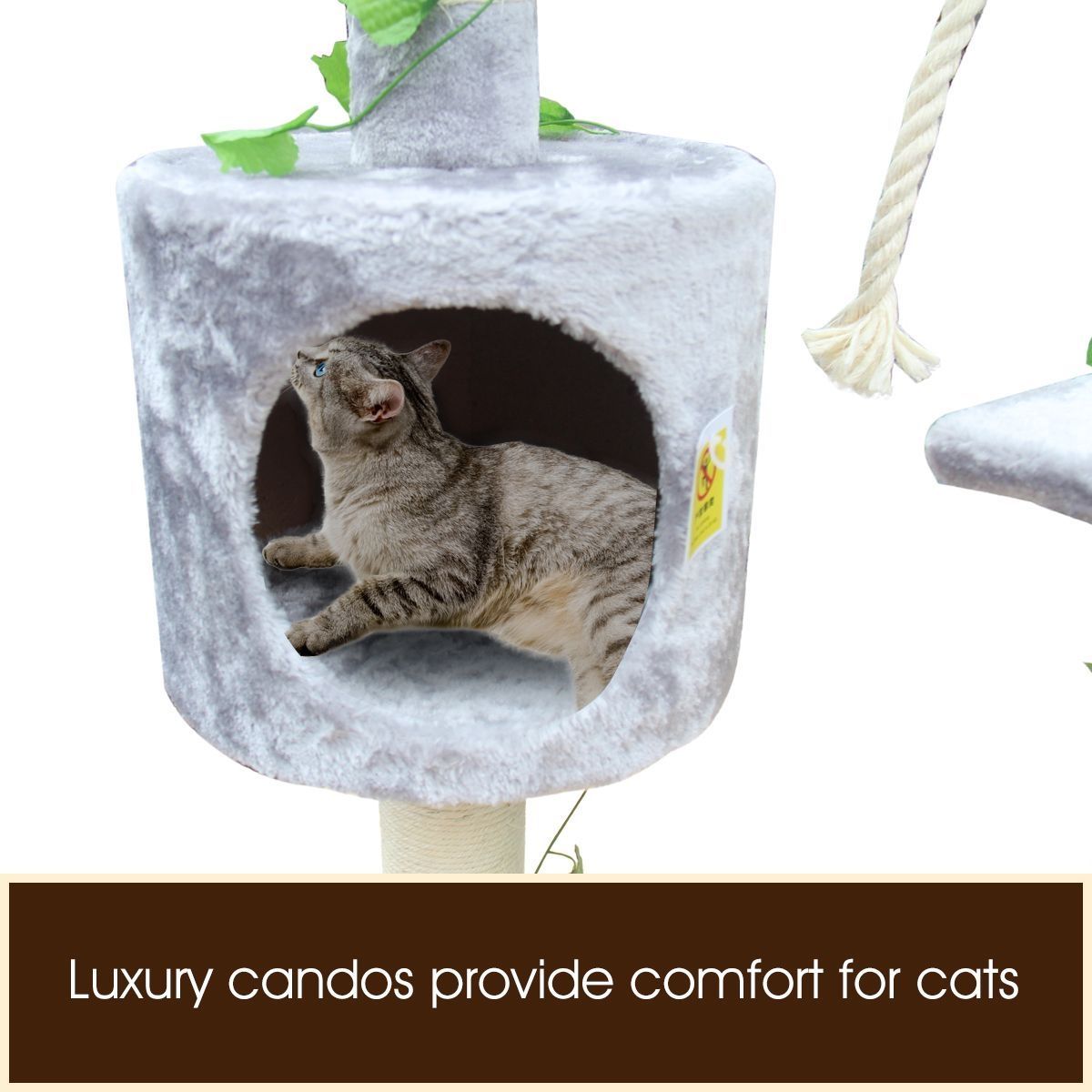 https://img.bestdeals.co.nz/products_pictures/210/21044_172248_F.jpg