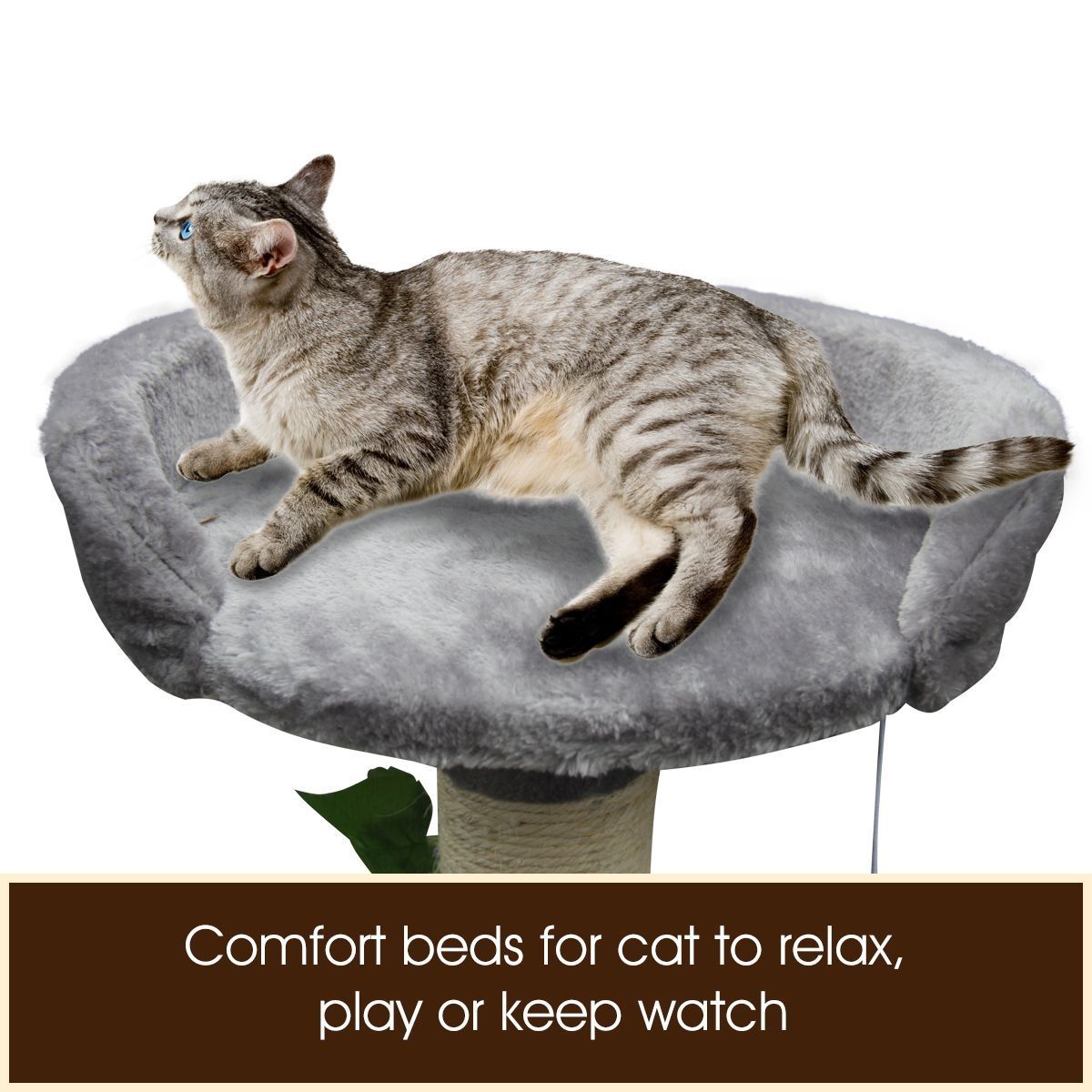 https://img.bestdeals.co.nz/products_pictures/210/21044_172249_F.jpg