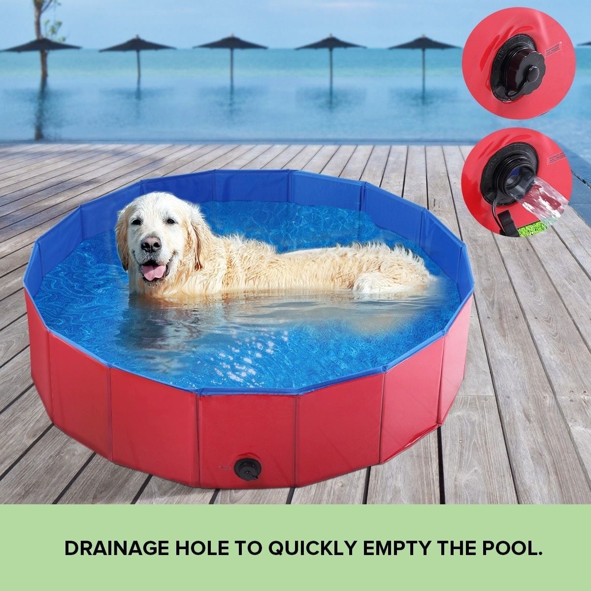 https://img.bestdeals.co.nz/products_pictures/220/22071_186046_F.jpg