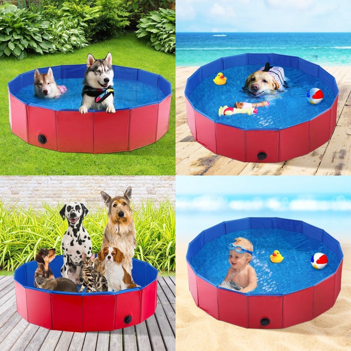 https://img.bestdeals.co.nz/products_pictures/220/22071_186050_F.jpg