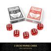 500 Holographic Butterfly Chips Professional Poker Card Game Play Set Casino Dice Aluminium Case