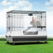 Rabbit Hutch Cat Cage Pet Ferret Bunny House Small Animal Crate Guinea Pig Indoor Outdoor Metal on Wheels
