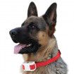 Citronella Dog Bark Collar Anti Bark without Shock