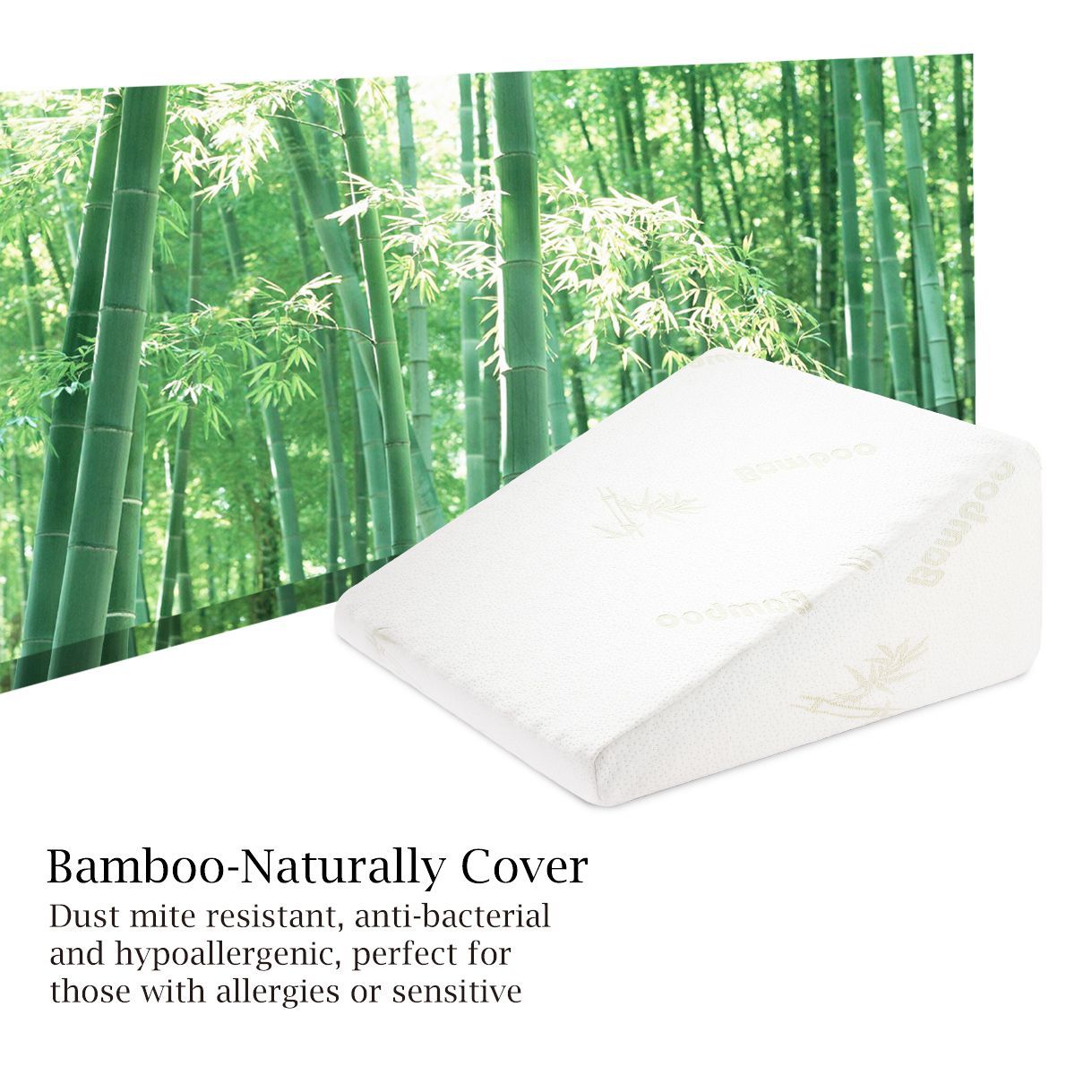 https://img.bestdeals.co.nz/products_pictures/235/23511_605878_F.jpg