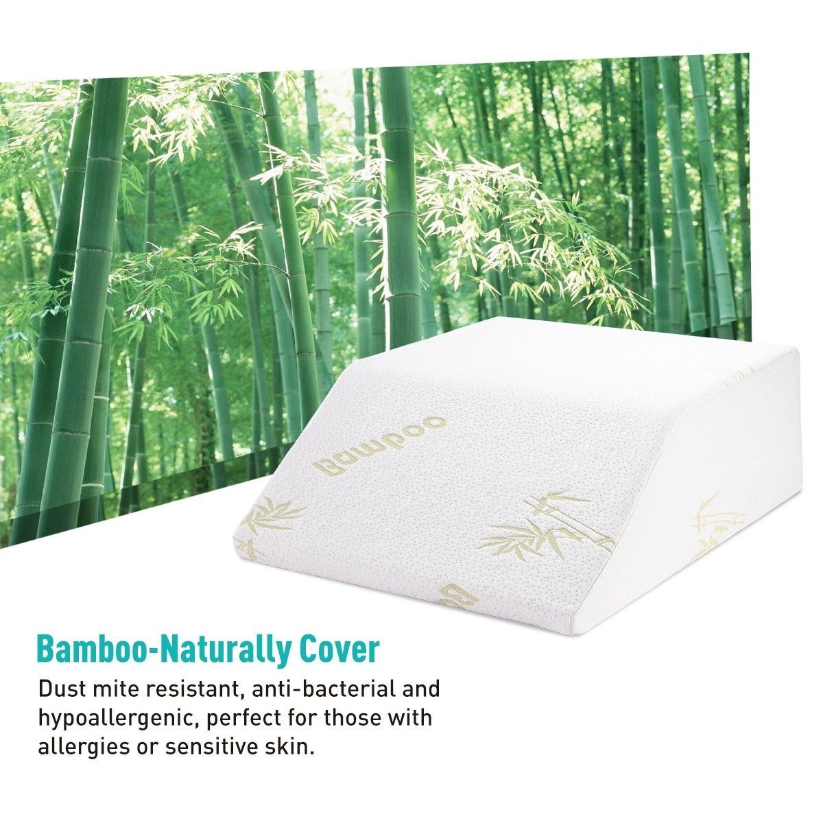 https://img.bestdeals.co.nz/products_pictures/235/23513_205373_F.jpg
