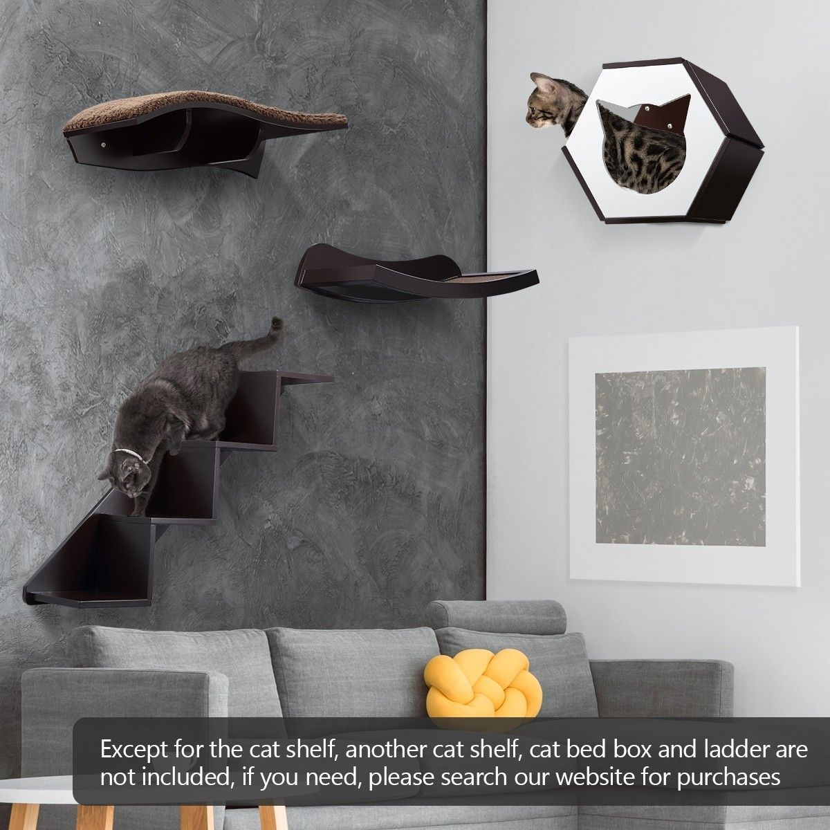 https://img.bestdeals.co.nz/products_pictures/237/23721_207179_F.jpg