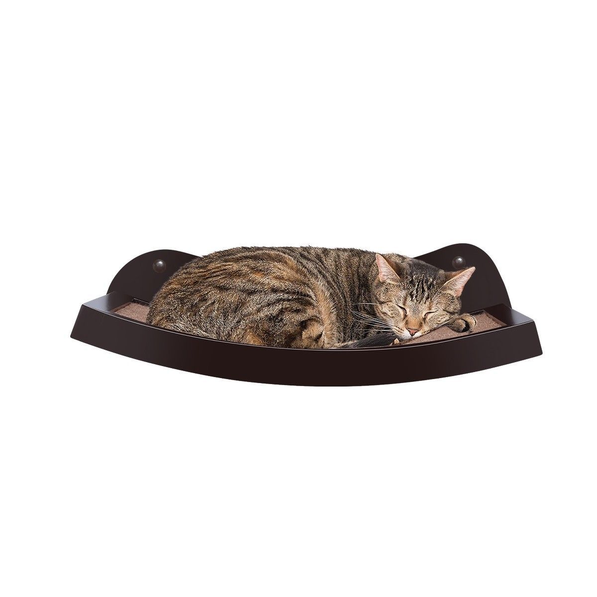 https://img.bestdeals.co.nz/products_pictures/237/23721_207183_F.jpg