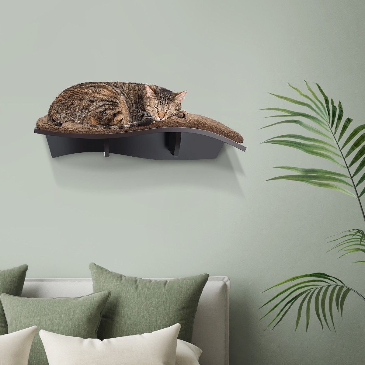 https://img.bestdeals.co.nz/products_pictures/237/23722_207186_F.jpg