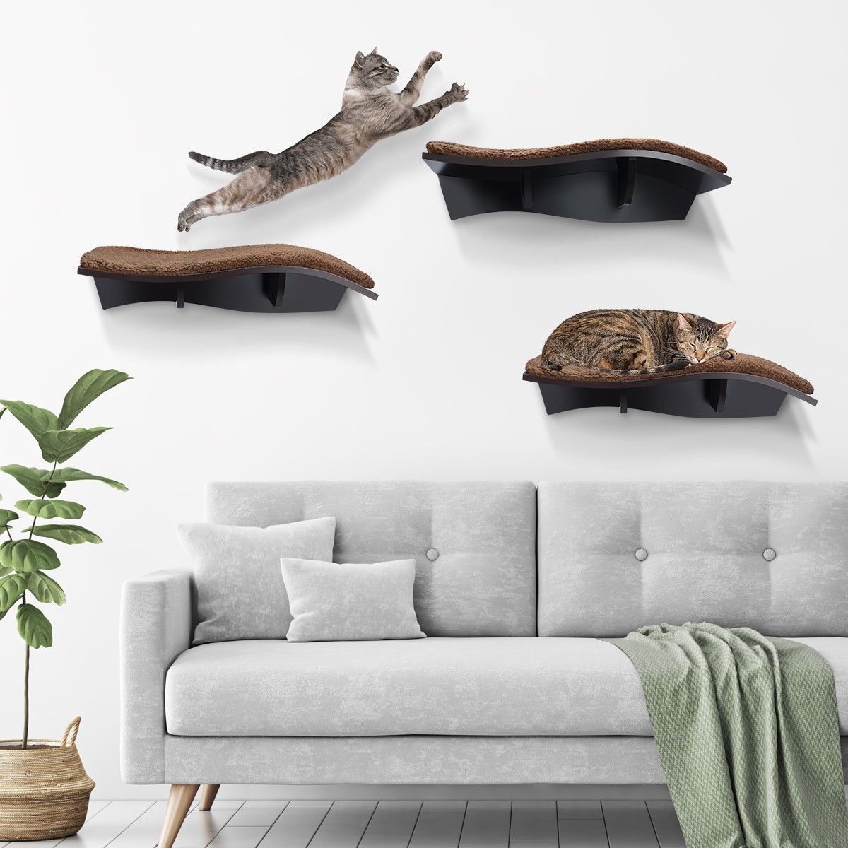 https://img.bestdeals.co.nz/products_pictures/237/23722_207189_F.jpg
