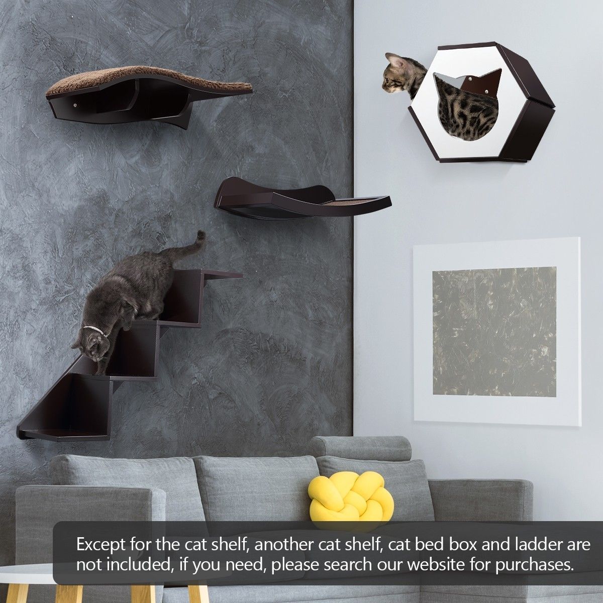 https://img.bestdeals.co.nz/products_pictures/237/23722_207191_F.jpg