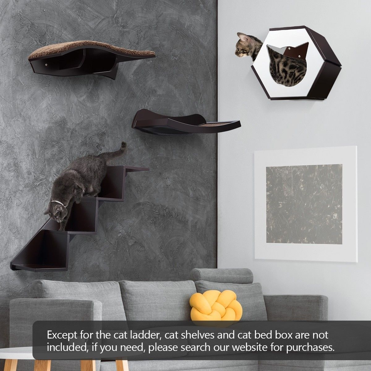 https://img.bestdeals.co.nz/products_pictures/237/23723_207201_F.jpg