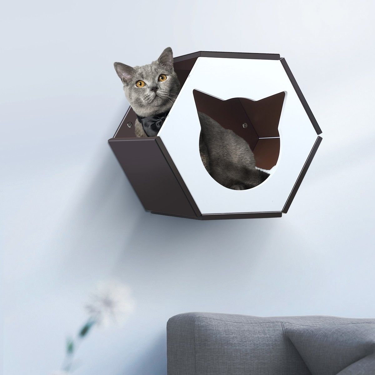 https://img.bestdeals.co.nz/products_pictures/237/23724_207214_F.jpg