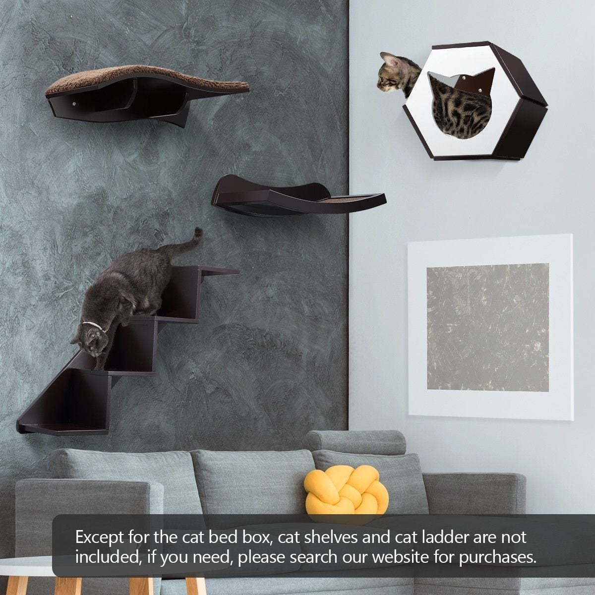 https://img.bestdeals.co.nz/products_pictures/237/23724_207215_F.jpg