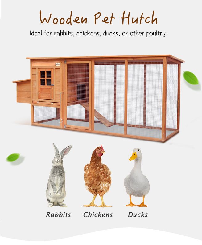 Chicken Run Coop Walk In House Rabbit Hutch Bunny Cage Duck Pet Hen Enclosure Outdoor Wooden