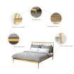 Double Modern Metal Bed Frame Iron Bed Base Bedroom Furniture Gold