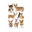 3D Wall Stickers Dogs PVC Self Adhesive Removable DIY Decoration Corgi