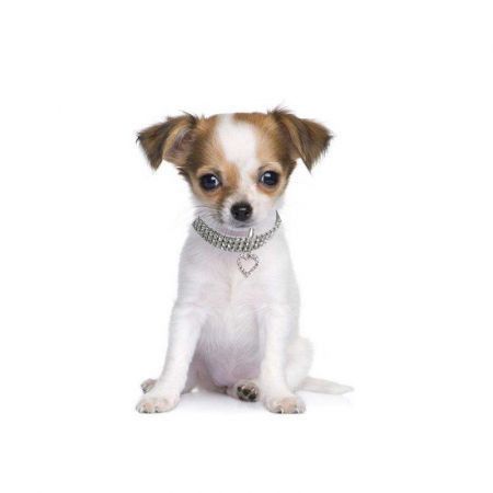 https://img.bestdeals.co.nz/products_pictures/244/24439_214937_F.jpg