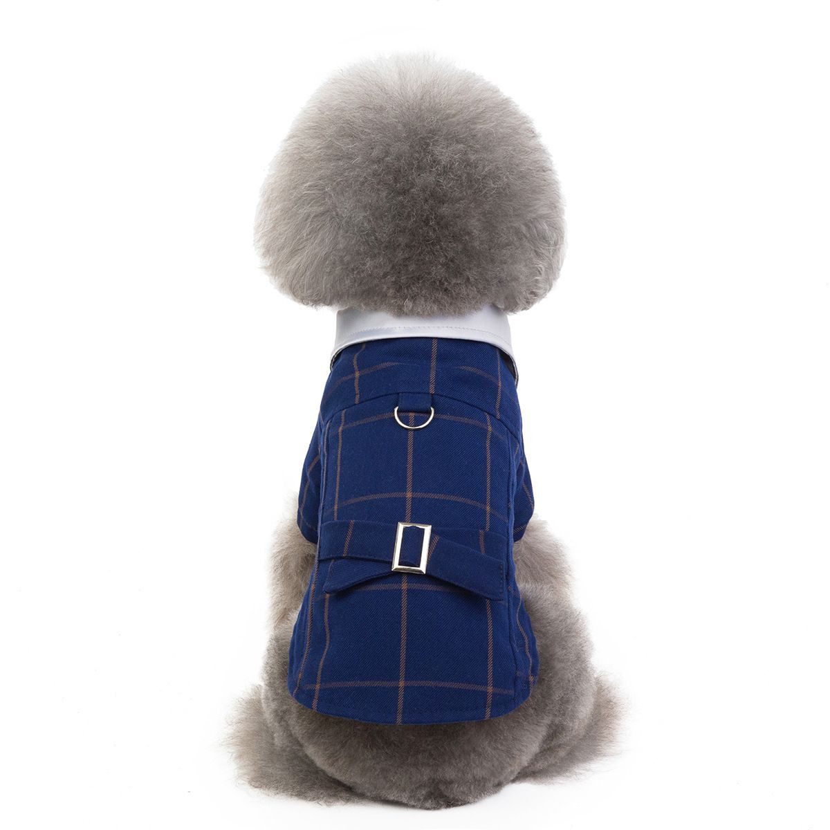 https://img.bestdeals.co.nz/products_pictures/244/24459_215027_F.jpg