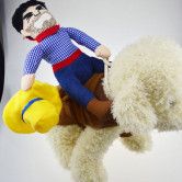 Pet Funny costume