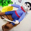 Pet Funny costume