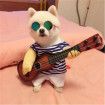 Pet Funny costume playing guitar