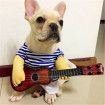 Pet Funny costume playing guitar