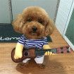 Pet Funny costume playing guitar