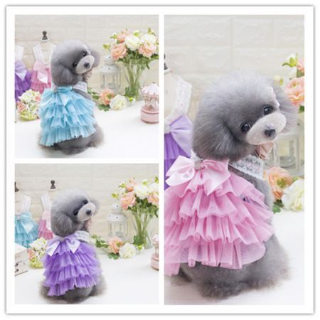 https://img.bestdeals.co.nz/products_pictures/244/24474_215102_F.jpg