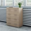 4 Drawers Chest Cabinet Tallboy High Gloss Front Storage Dresser Furniture - Oak