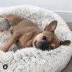 50cm x 20cm for under 10kg PV Velvet Plush pet Dog Cat Mat Kennel bed 50cm x 20cm for under 10kg Col. Grey