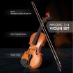3/4 Acoustic Violin Kit 4 String Natural Varnish Finish w Case Bow Rosin Melodic