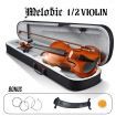 2/4 Acoustic Violin Kit 4 String Natural Varnish Finish w Case Bow Rosin Melodic