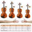 2/4 Acoustic Violin Kit 4 String Natural Varnish Finish w Case Bow Rosin Melodic
