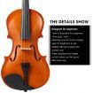 2/4 Acoustic Violin Kit 4 String Natural Varnish Finish w Case Bow Rosin Melodic
