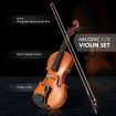 2/4 Acoustic Violin Kit 4 String Natural Varnish Finish w Case Bow Rosin Melodic
